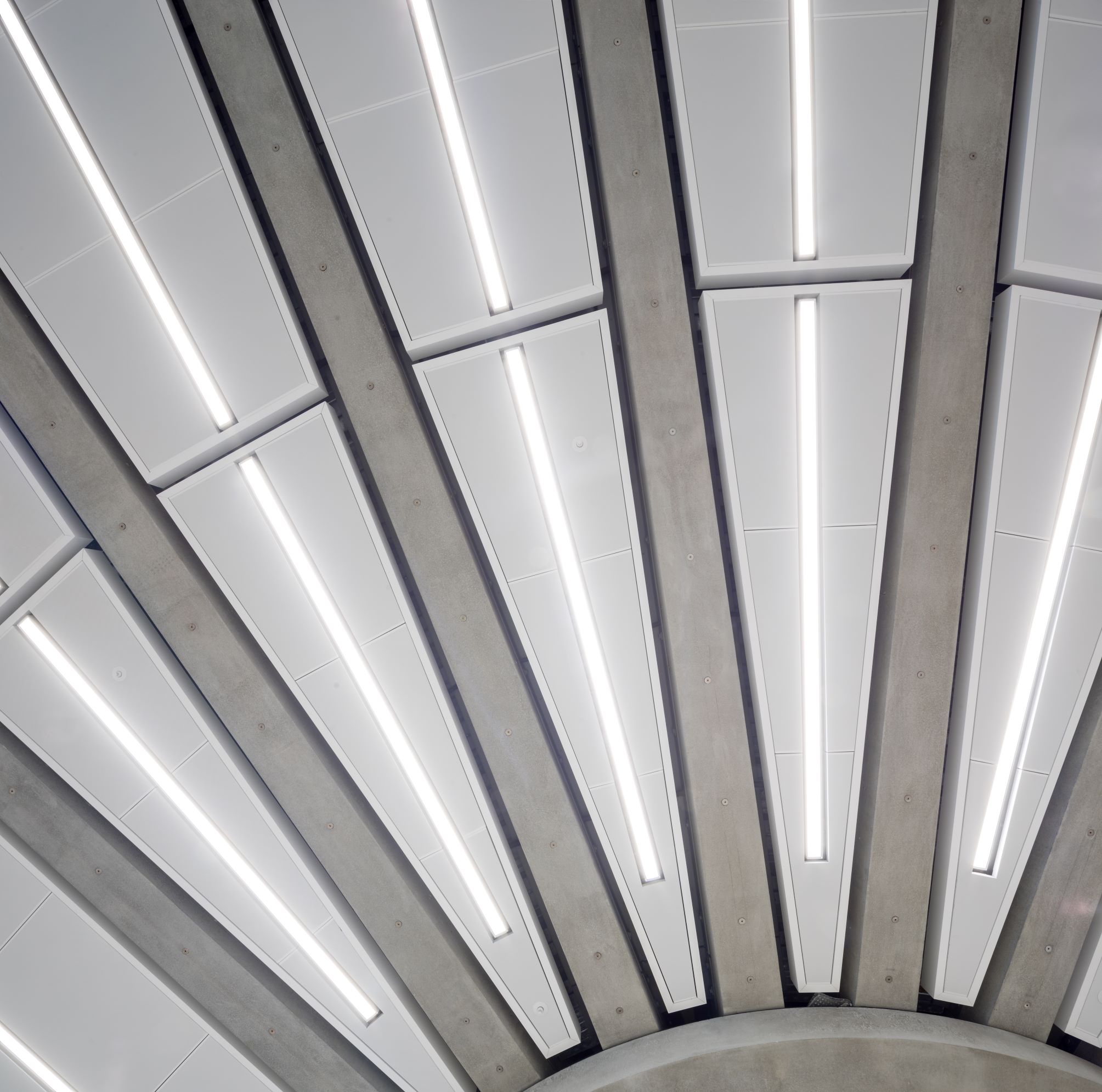 Brack Sml 200 Com (8)